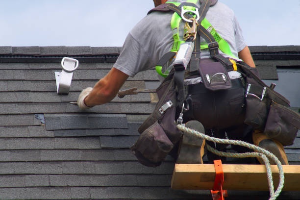Best Flat Roof Repair Services  in Galls, IN