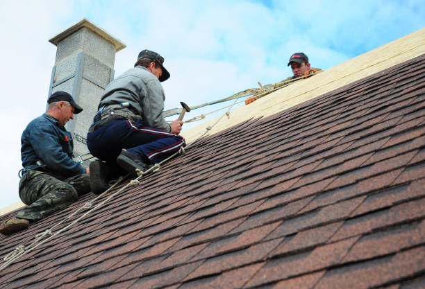 Best Roof Leak Repair  in Galls, IN